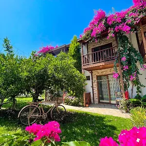 https://faralya-misafir-evi.aegeanhotels.net